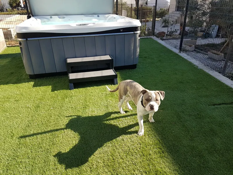 Façade du spa Caldera avec son marchepied, le chien de la maison sur le gazon, à Agde