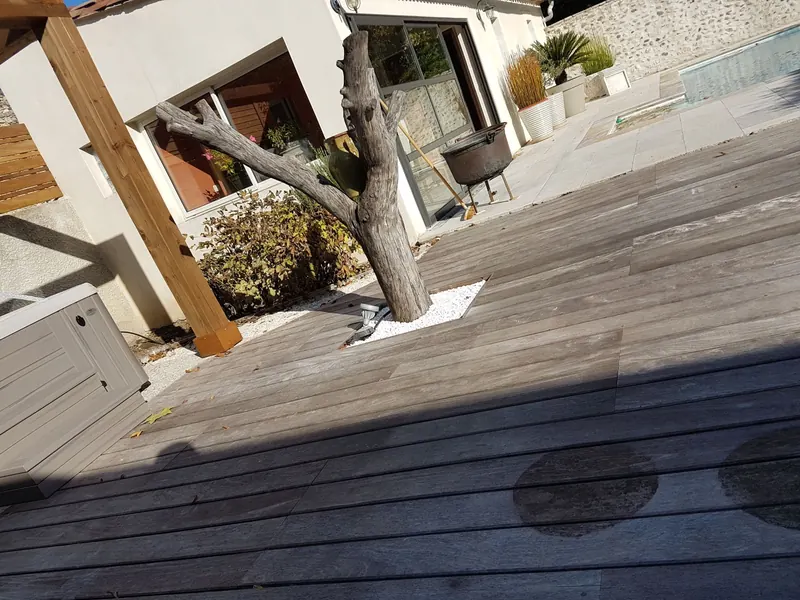 Angle du spa au bord de la terrasse en bois, près d'un tronc d'arbre décoratif et de la piscine