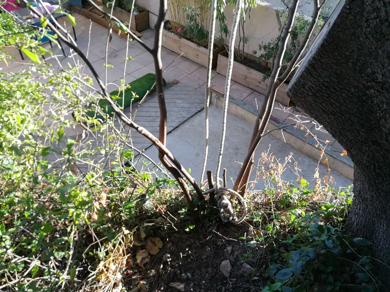 Vue plongeante depuis le jardin sur la terrasse en contrebas où le spa sera posé, à Sète
