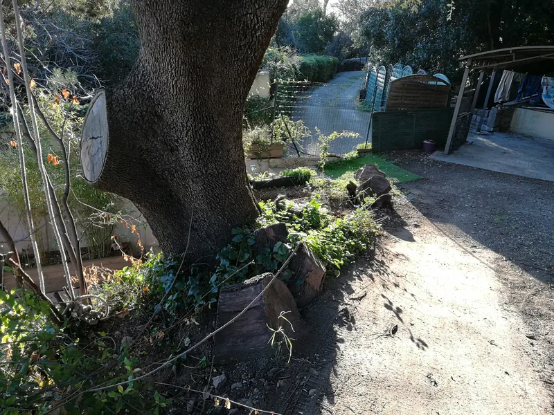 Allée de terre sous un grand arbre menant à l'abri à voiture, avant l'arrivée du spa à Sète