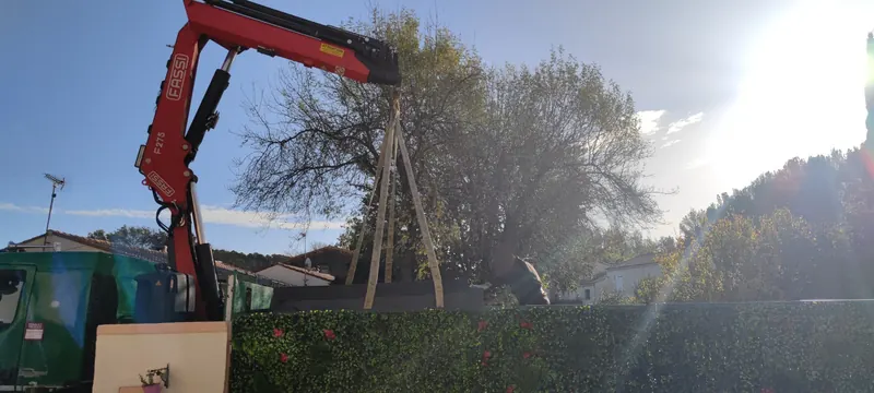 Grue rouge levant un spa gris enveloppé, depuis un camion de livraison vert