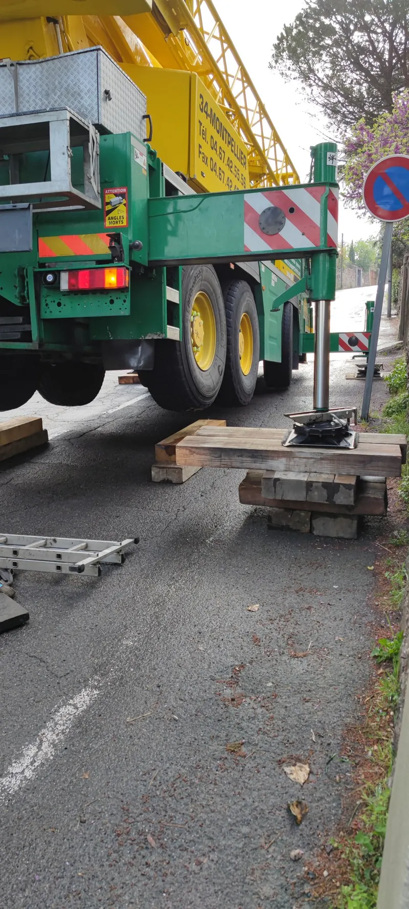 Grue jaune et noire dans une rue résidentielle